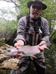 nice rainbow trout on dry fly